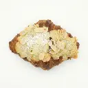 Almond Croissant Solo